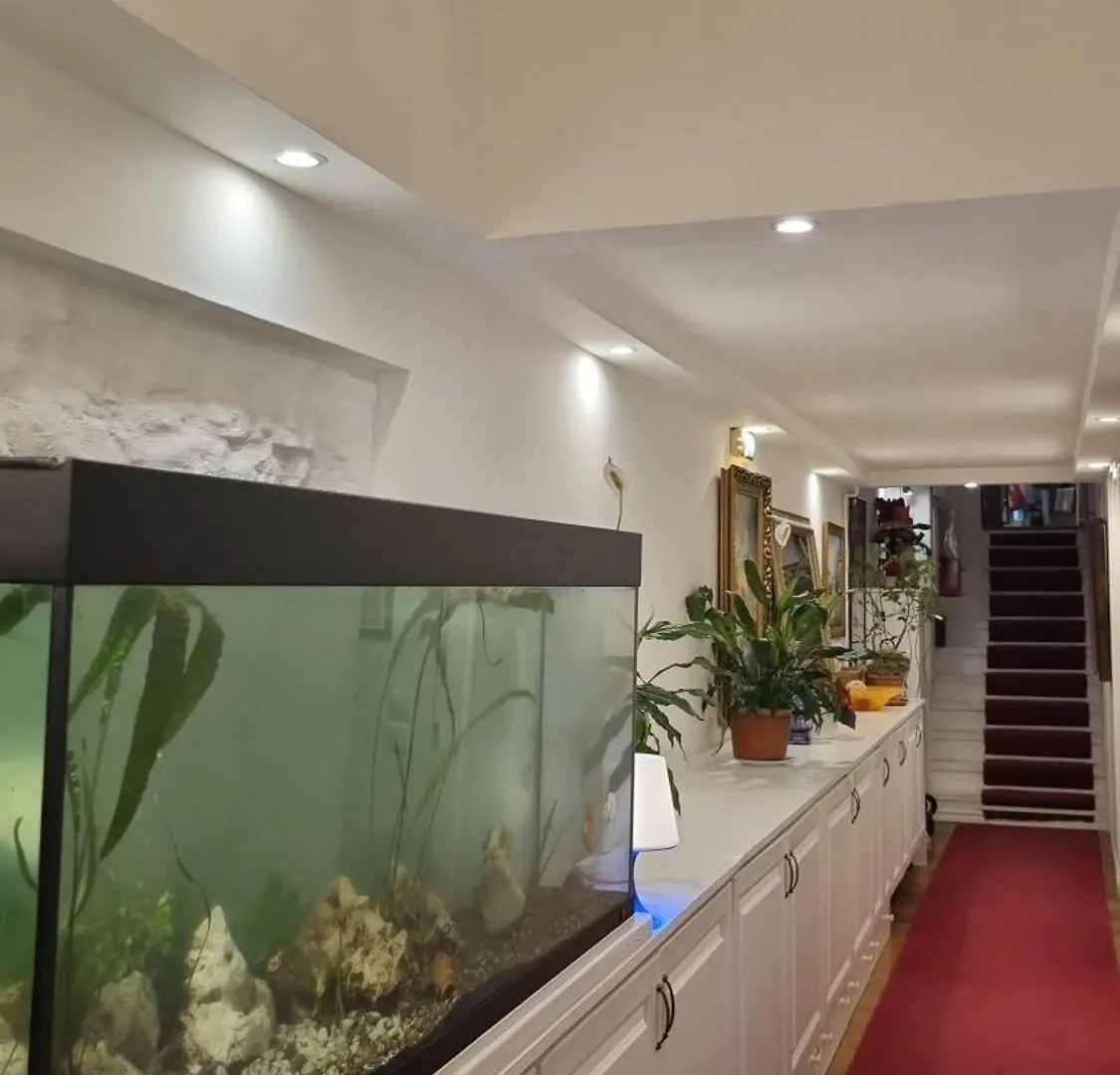 Connection Guesthouse Budapest Ungarn