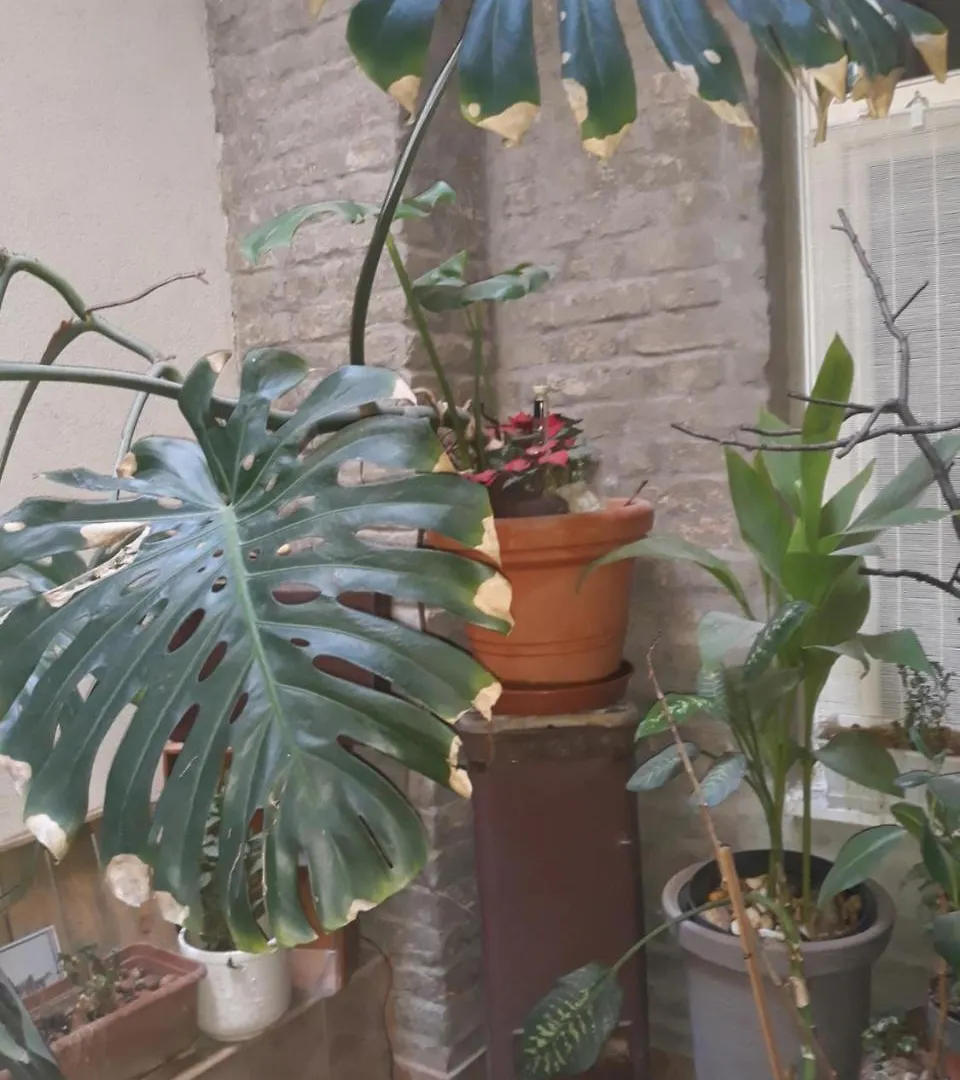 Gasthof Connection Guesthouse Budapest