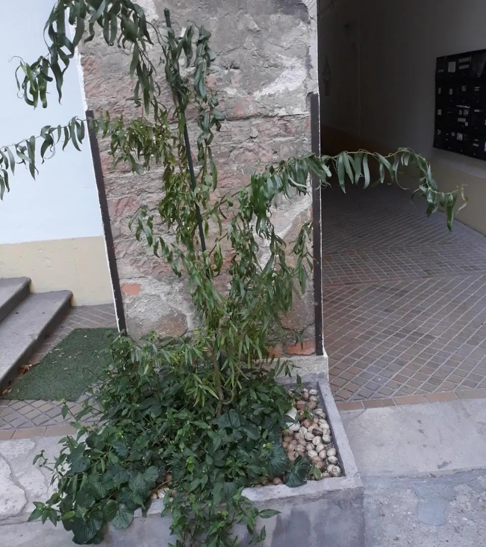 Connection Guesthouse Budapest Gasthof