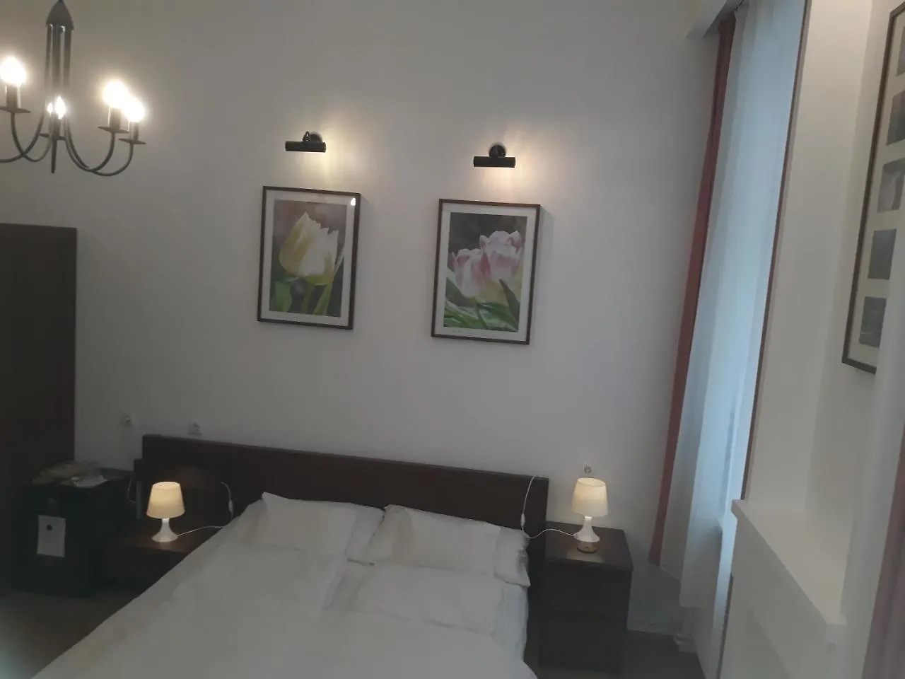 בית הארחה בודפשט Connection Guesthouse