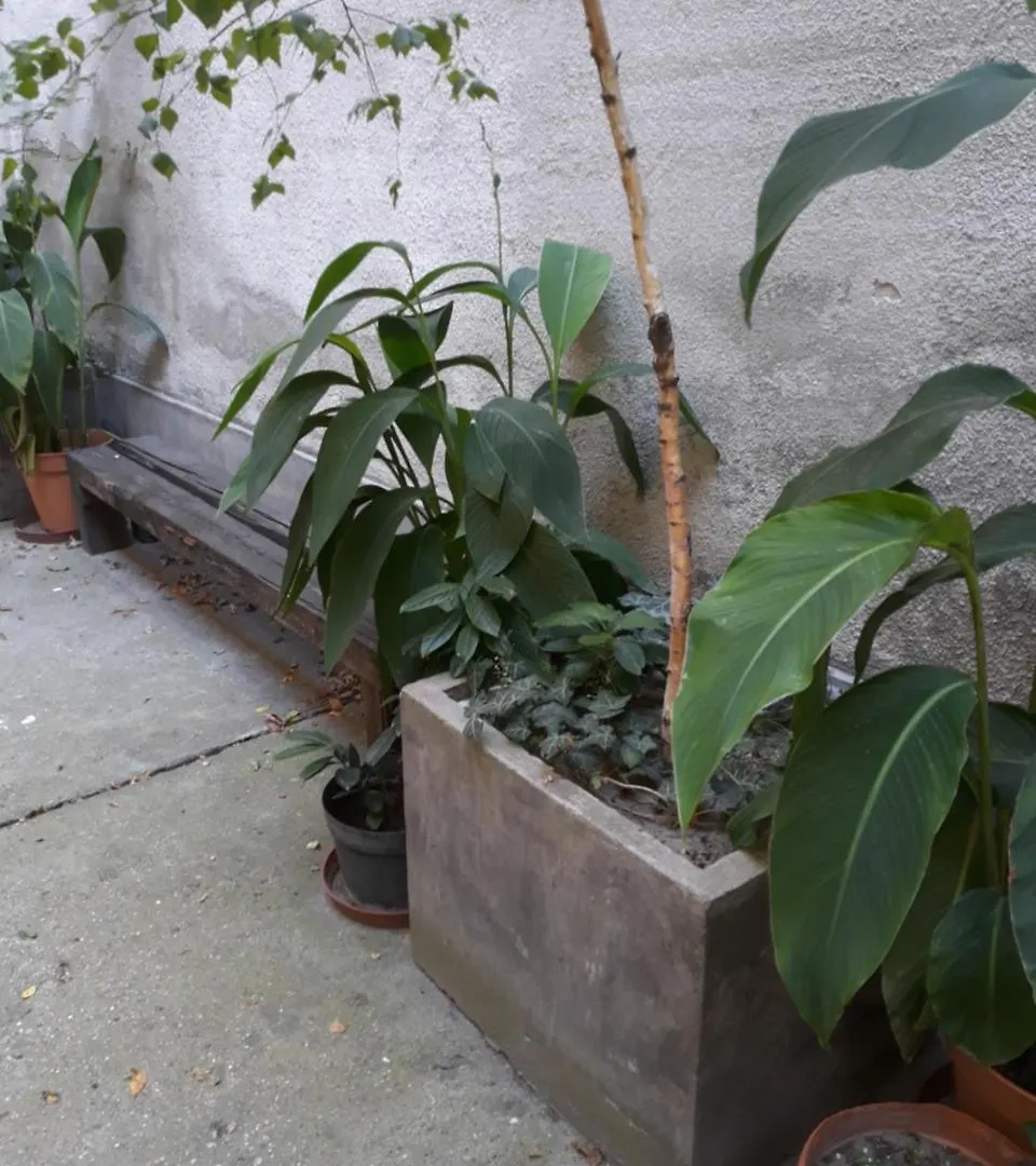 בית הארחה בודפשט Connection Guesthouse