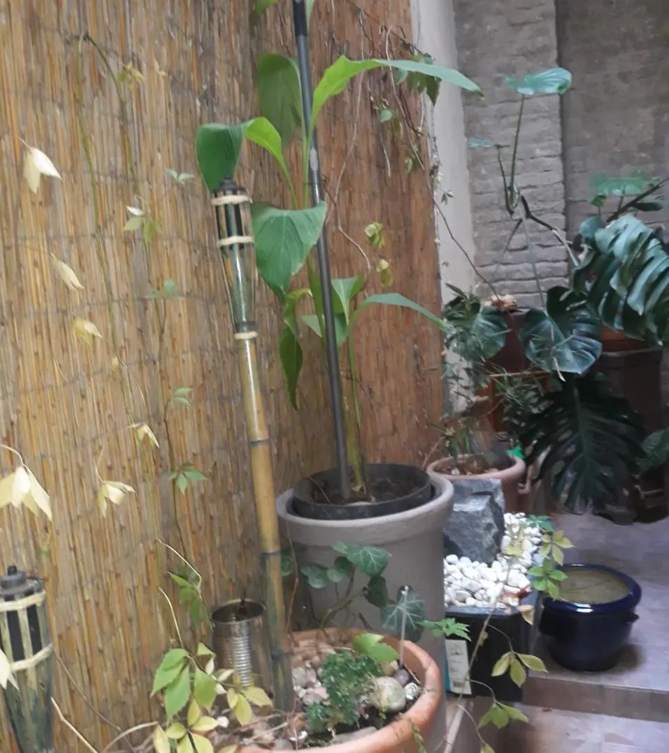 בית הארחה בודפשט Connection Guesthouse