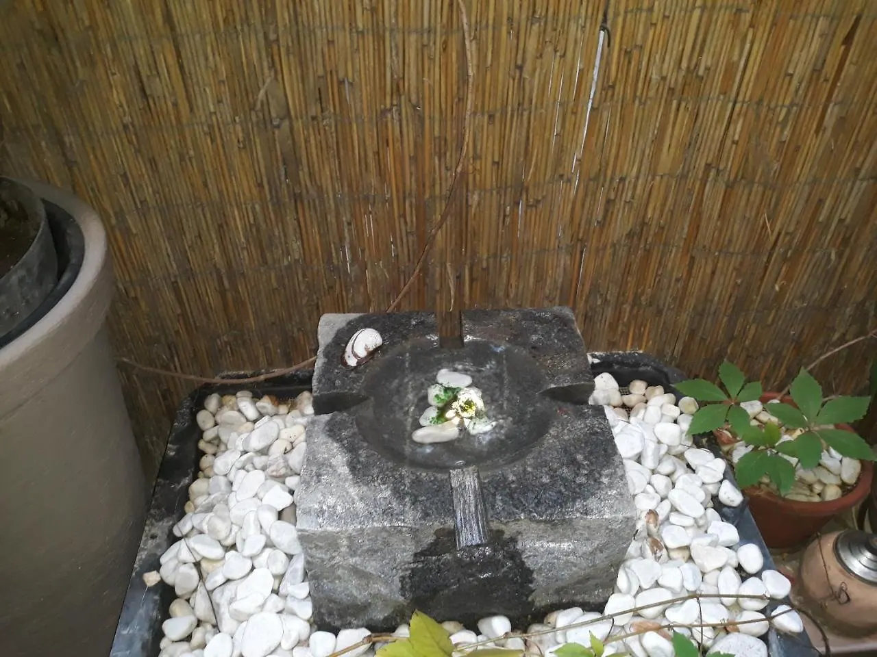 *** בית הארחה בודפשט Connection Guesthouse הונגריה