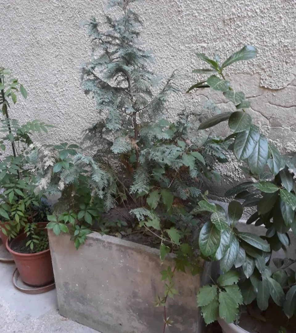 בודפשט Connection Guesthouse הונגריה
