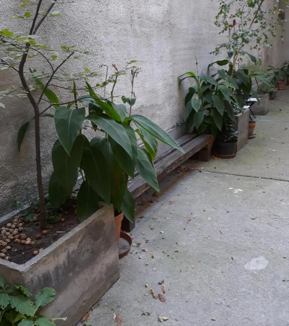 בודפשט Connection Guesthouse